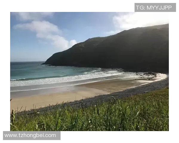 新西兰对阵安哥拉精彩直播链接及赛前分析尽在这里